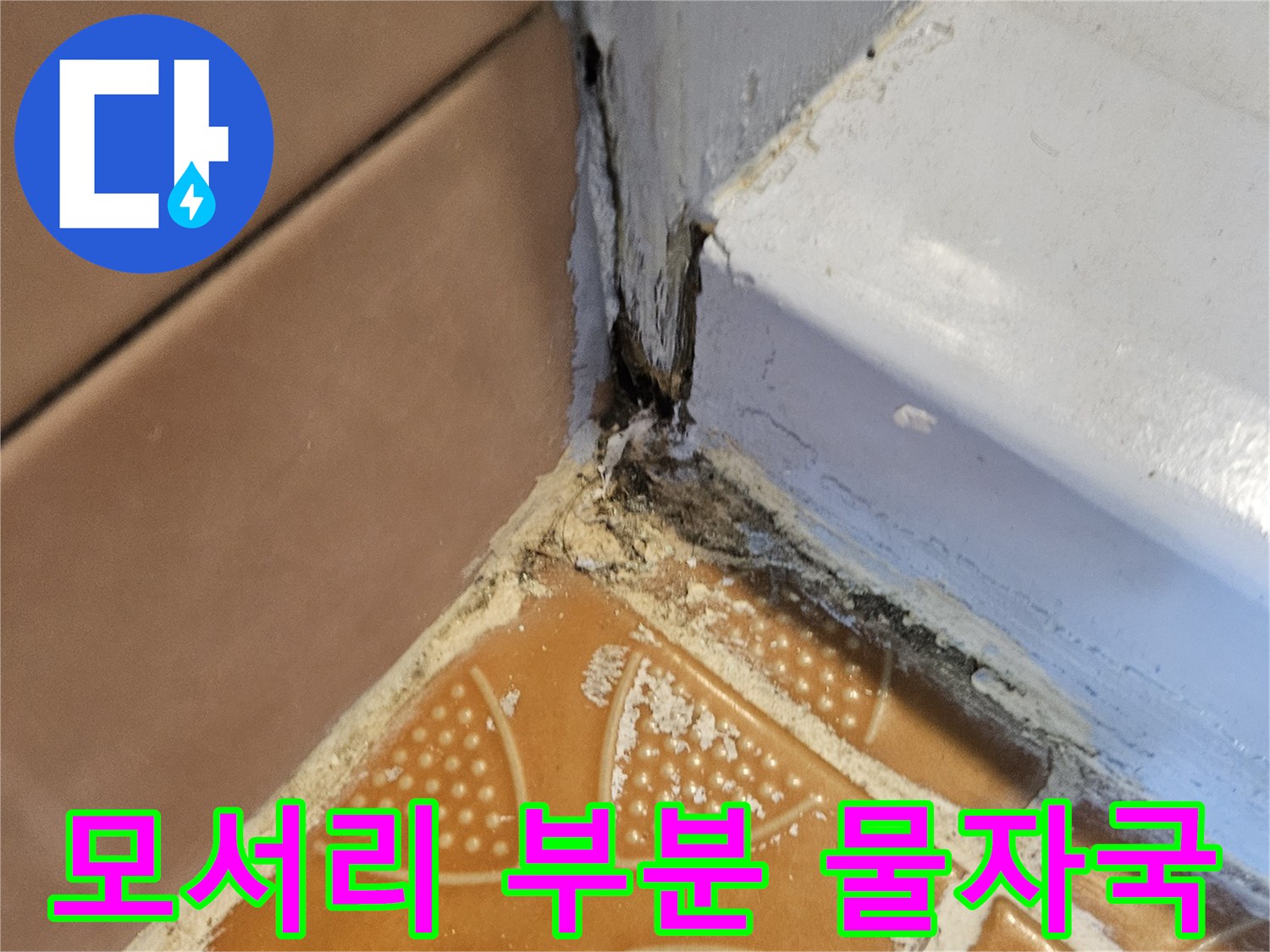 벽면과 타일 경계의 물샘 흔적