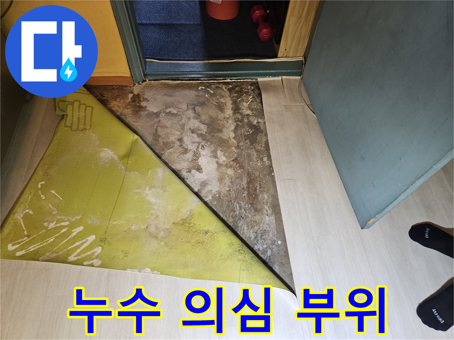 벽지 뒤에 숨겨진 곰팡이와 습기 흔적