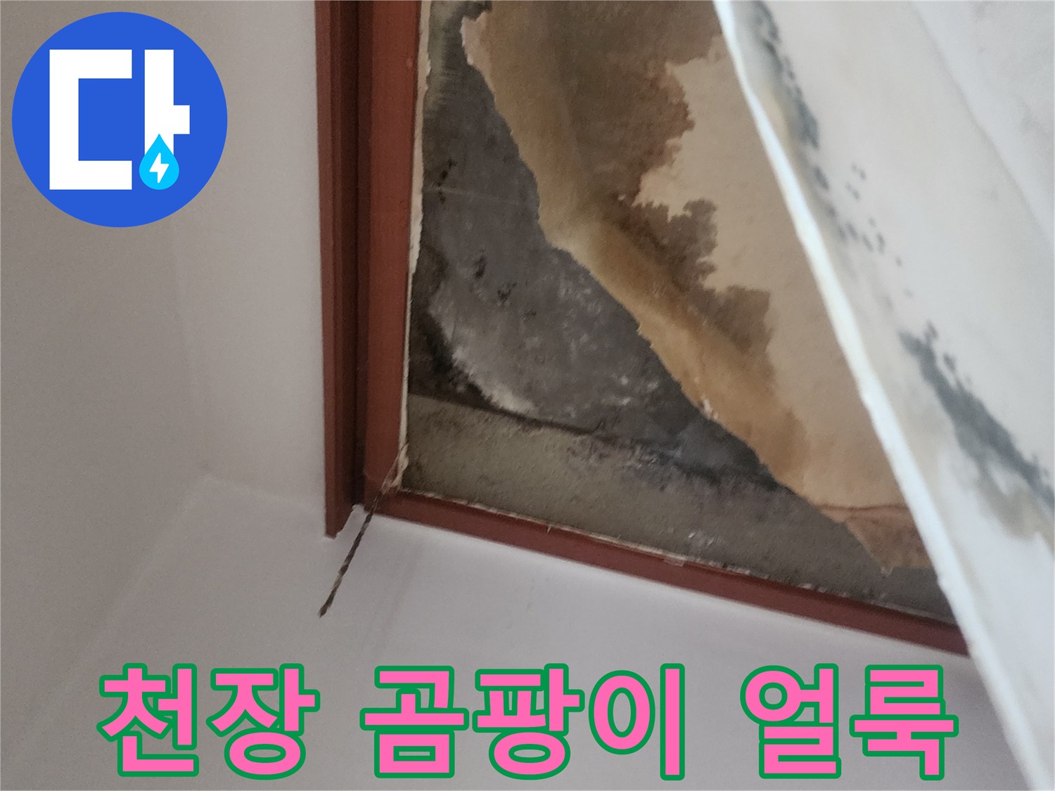 누수-발생-후-천장에-남은-곰팡이-자국