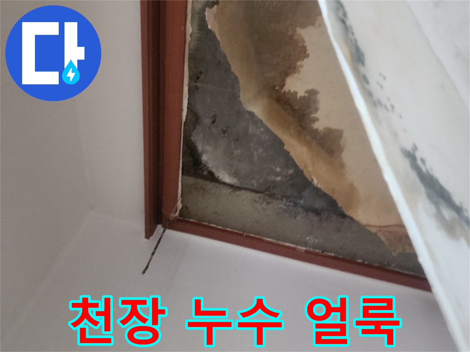 아래층-천장-벽지가-젖은-모습