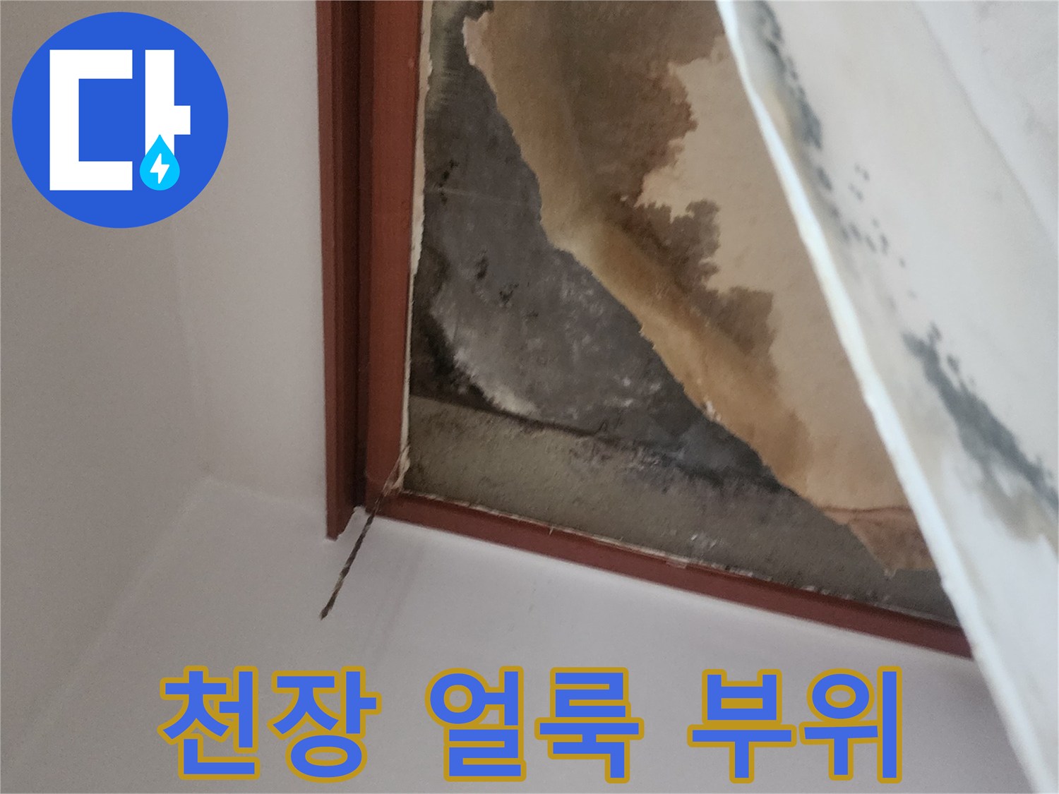 아래층 천장-습기로 인한 갈색 얼룩