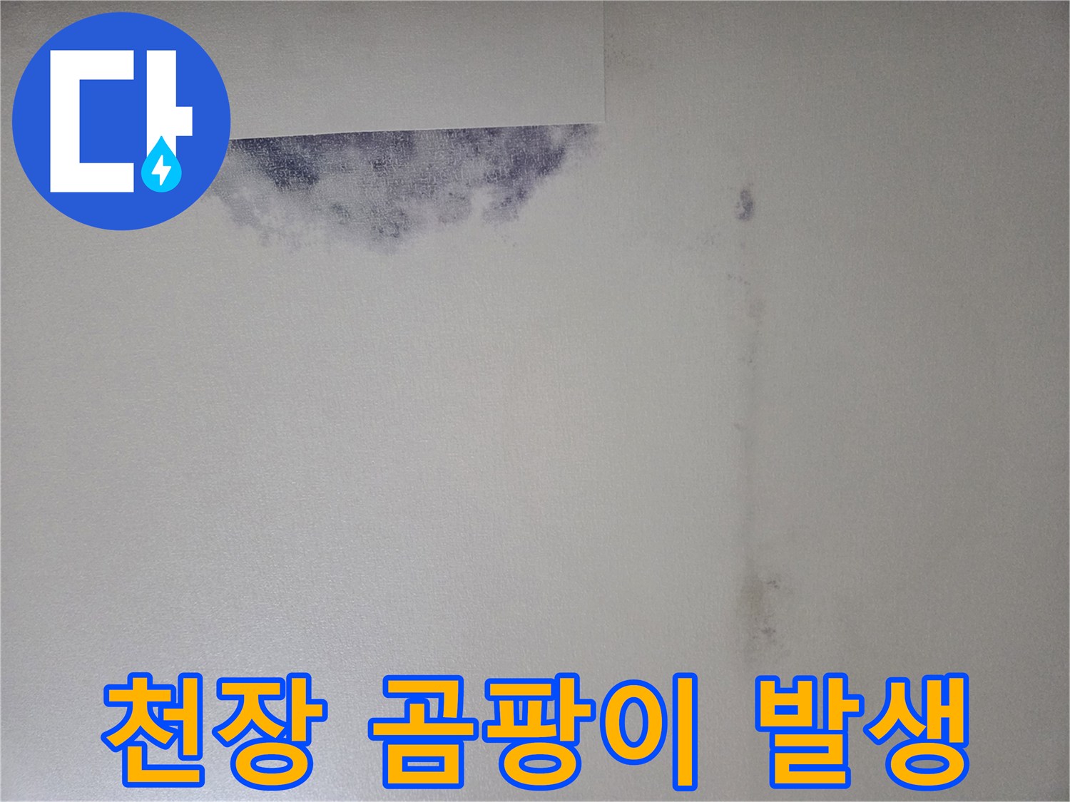 강서구 화곡동-천장 벽면의 습기 및 곰팡이 오염 상태