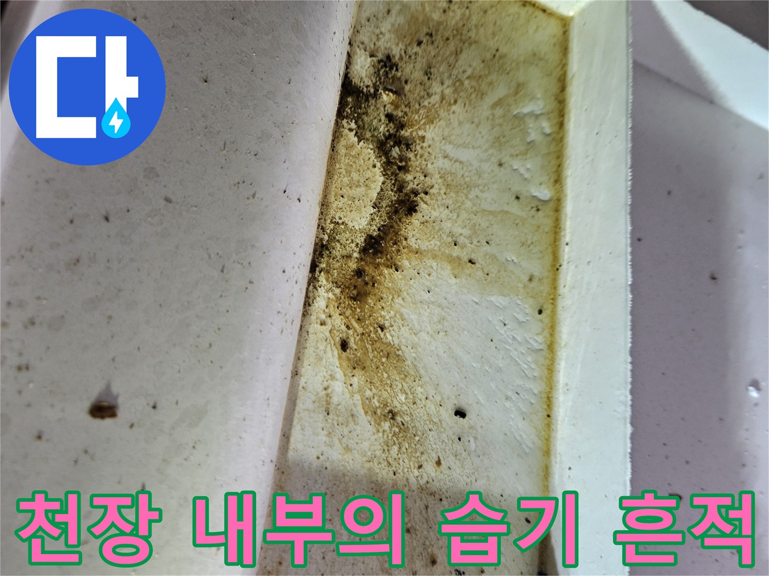 물샘으로 인해 변색된 천장재와 배관 주변 오염