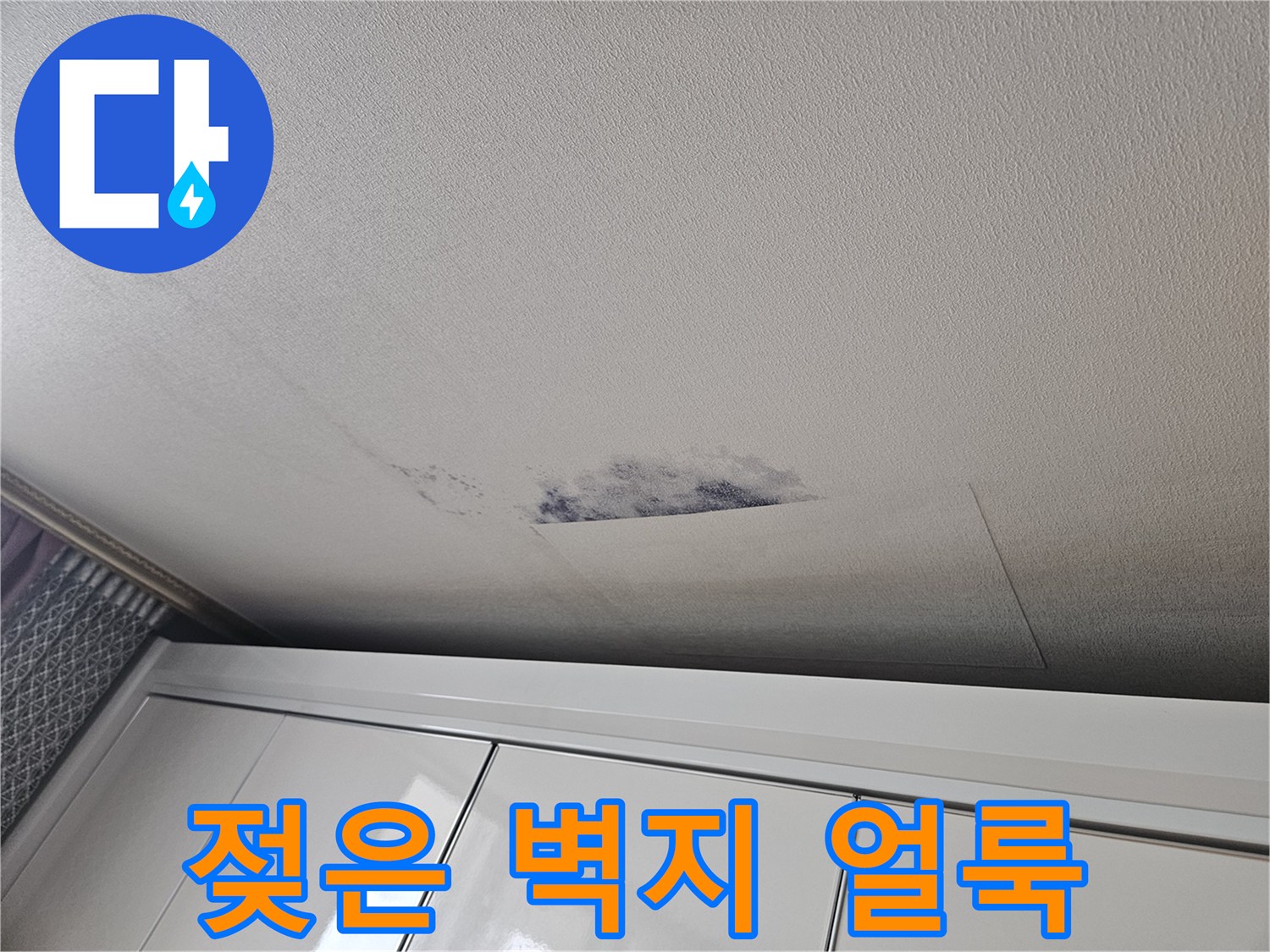 천장 가구 인접 부위의 젖은 흔적 - 누수 진단 과정