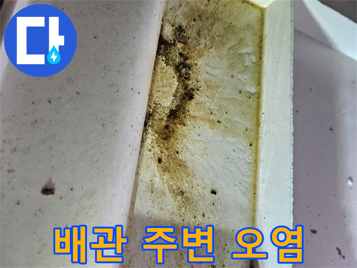 하수구-배관-주변-누수-오염-상태