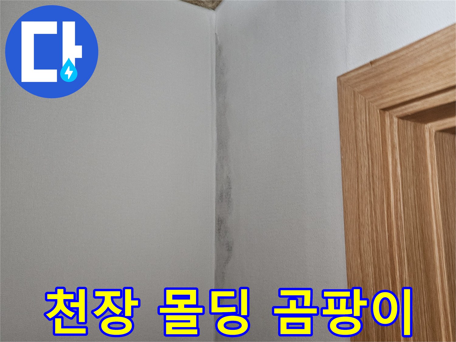 화곡동 현장 사진-벽면 상단부 곰팡이 발생 부위