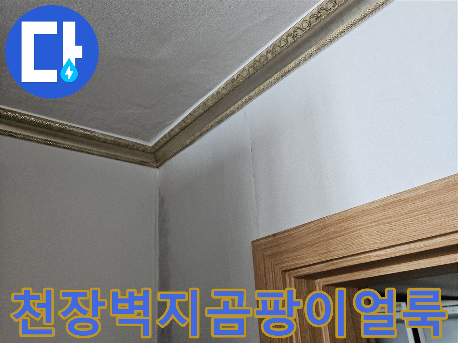화곡동 현장-천장 모서리의 젖은 벽지