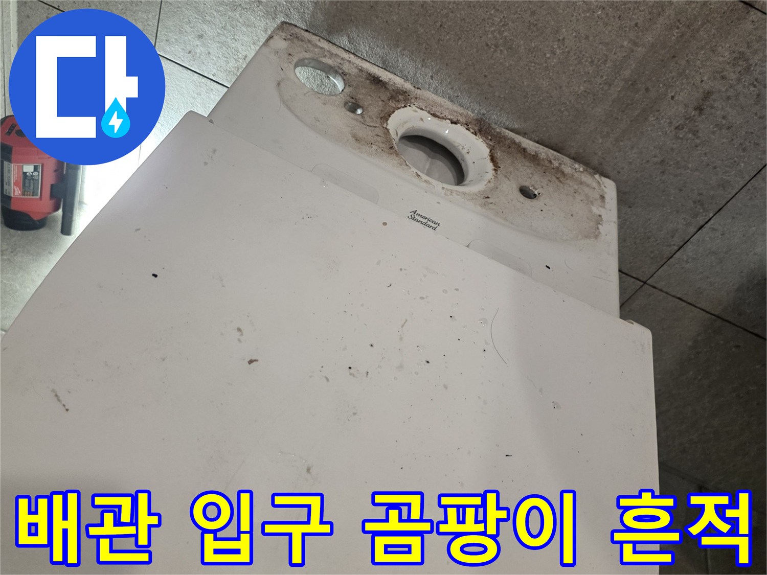 오수-배관-주변의-곰팡이와-찌든-때-흔적