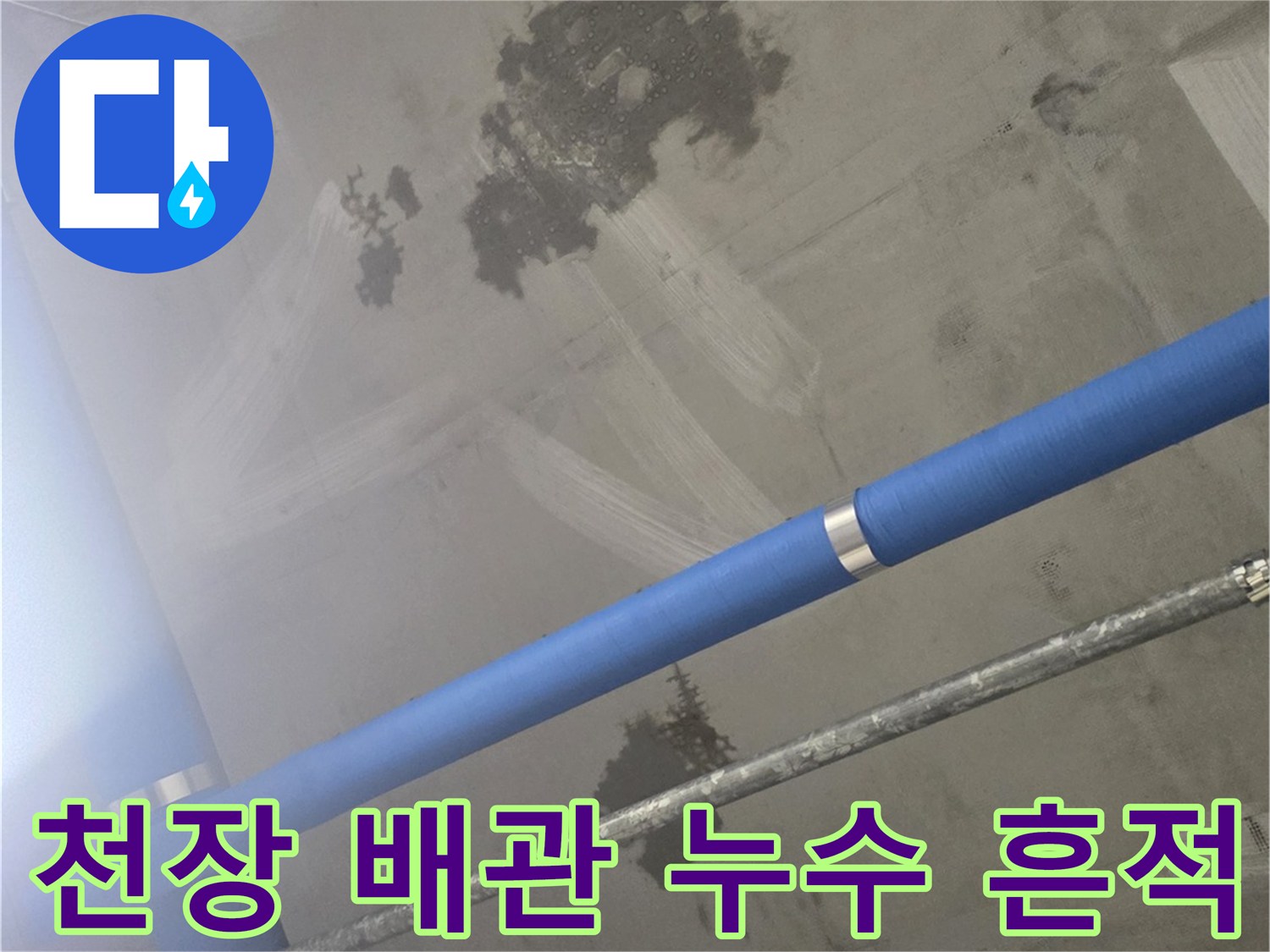 의정부 민락동 식당 지하 천장의 푸른색 배관 주변에 발생한 어두운 얼룩과 습기 흔적