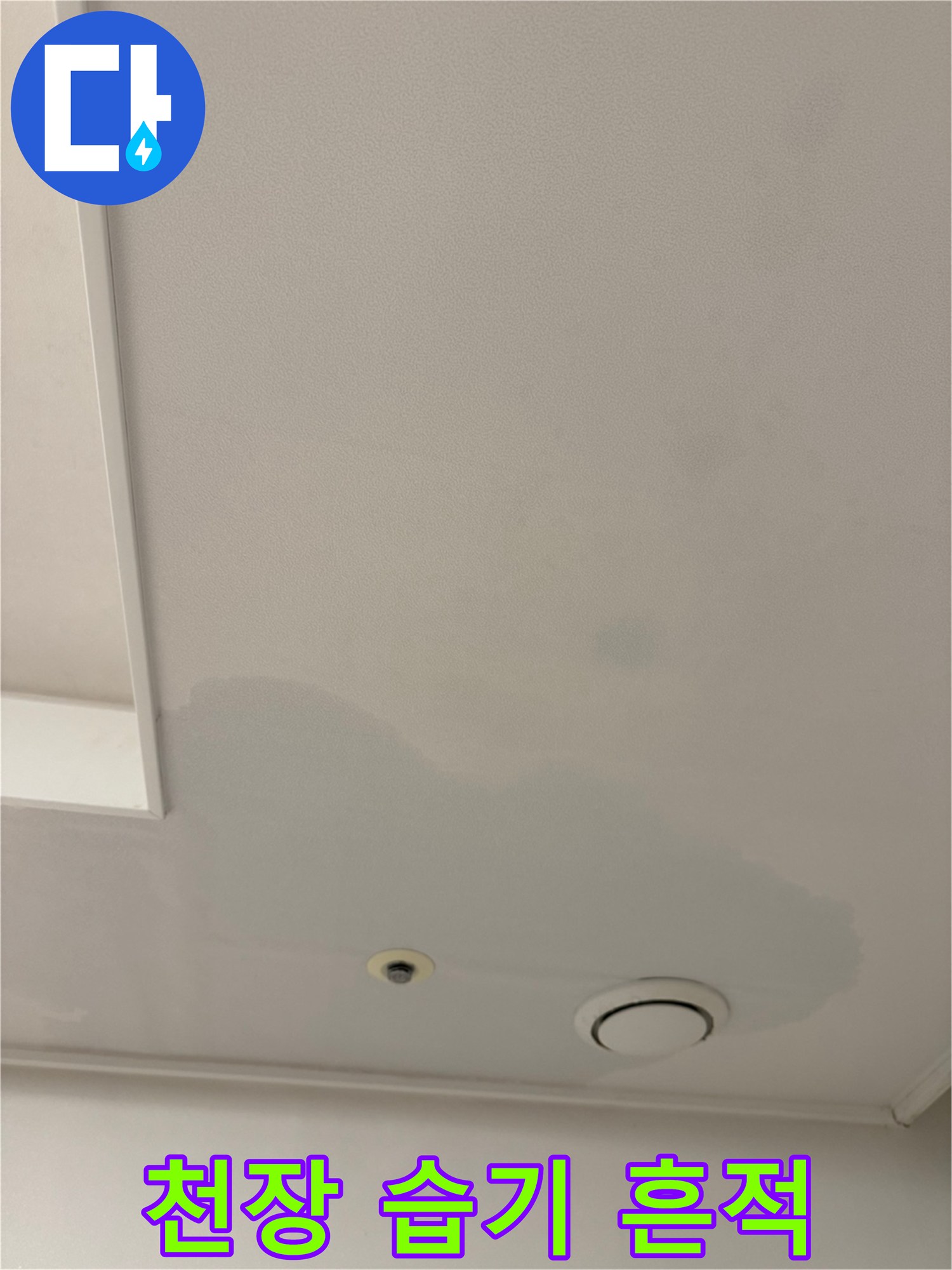 물에 젖어 색이 변한 천장 도배지 영역