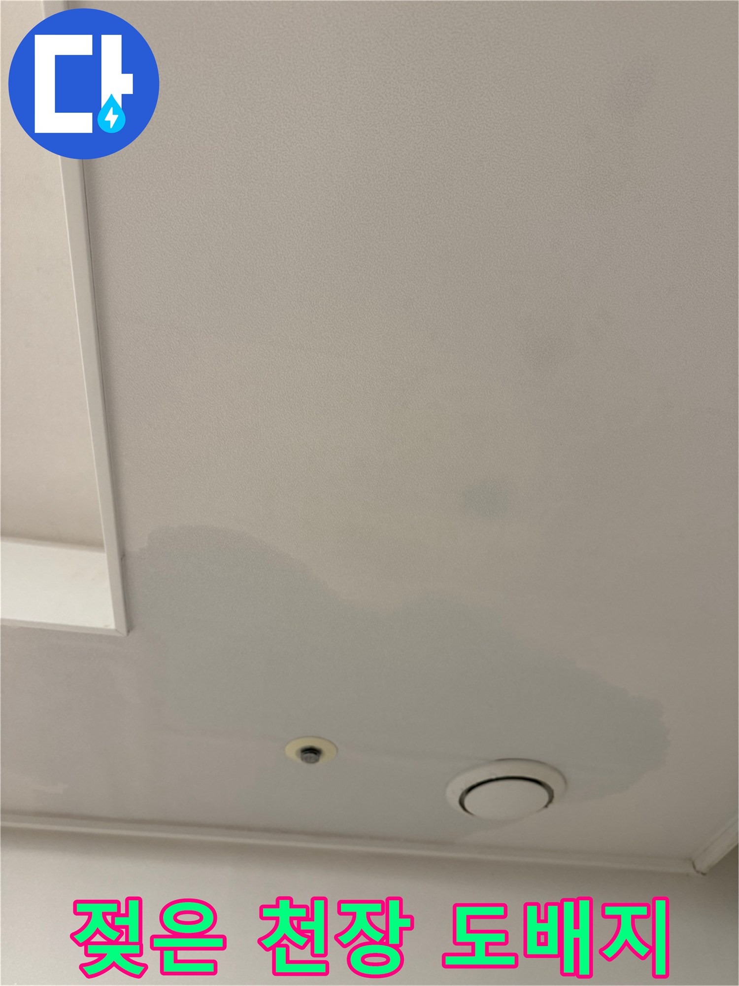 물이 스며들어 변색된 천장 마감재 부위