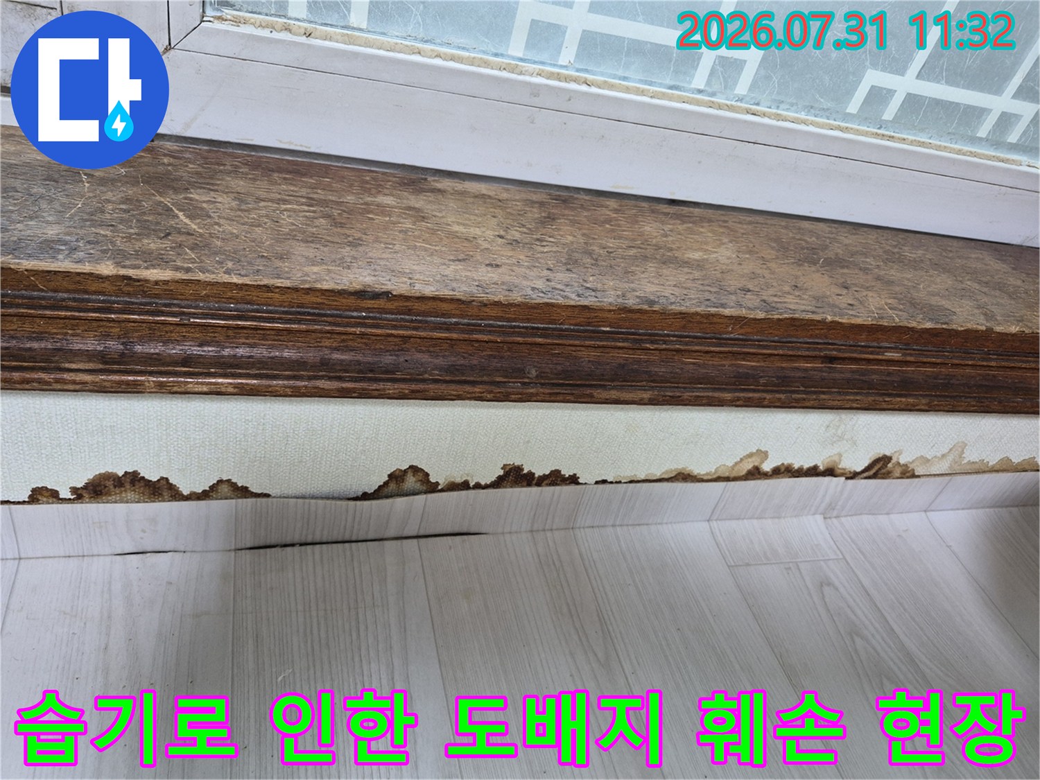 물에 젖어 들뜬 도배지와 곰팡이가 발생한 하부 벽면