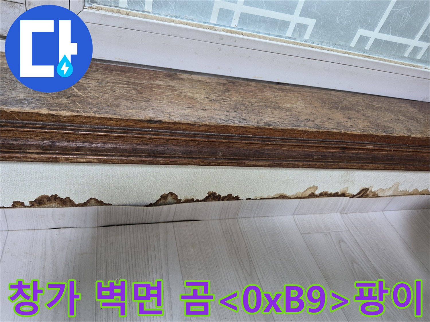 창틀 아래쪽-습기로 인한 벽지 변색 부위