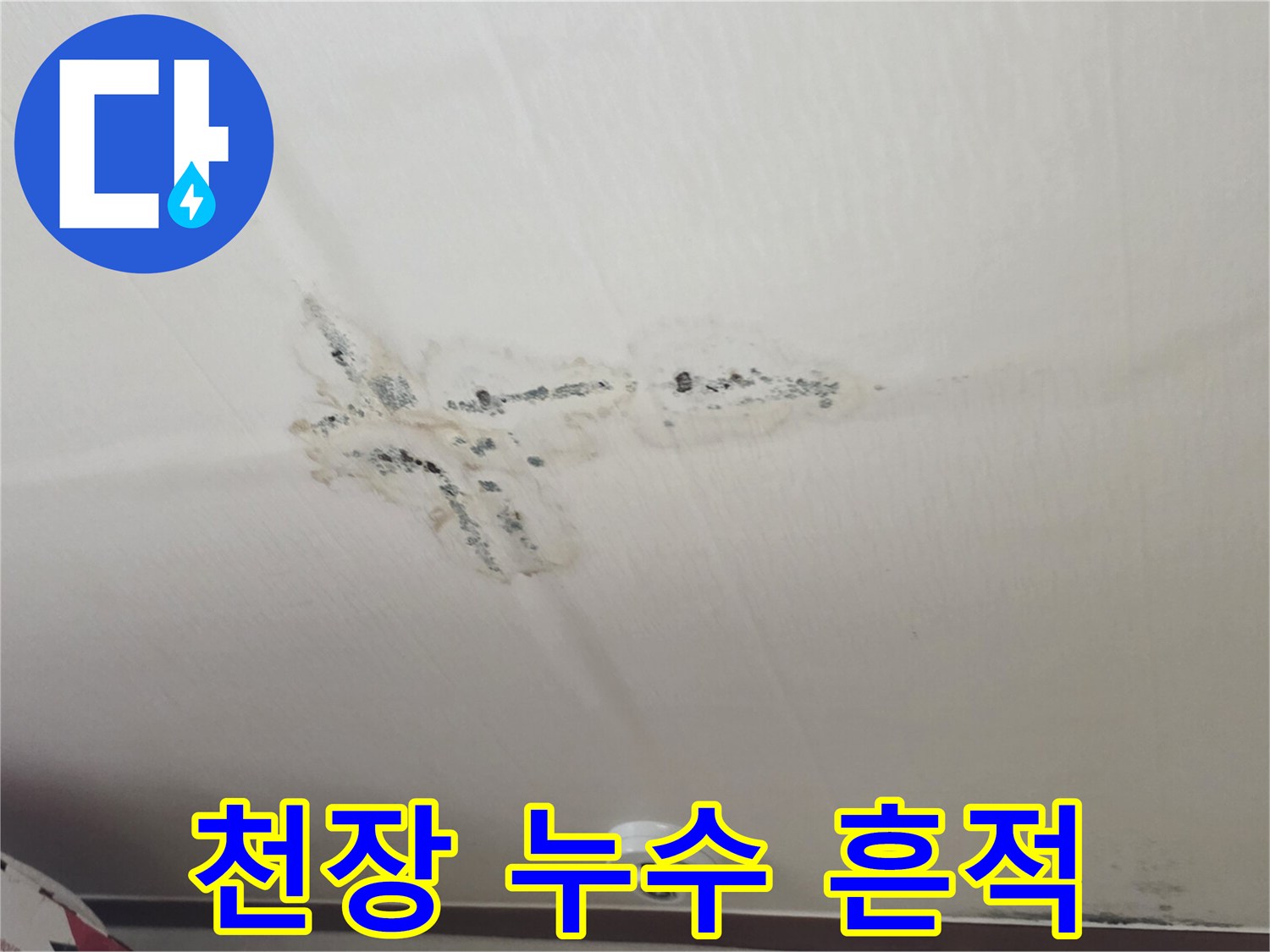 누수로 인해 변색된 천장 마감재 상태