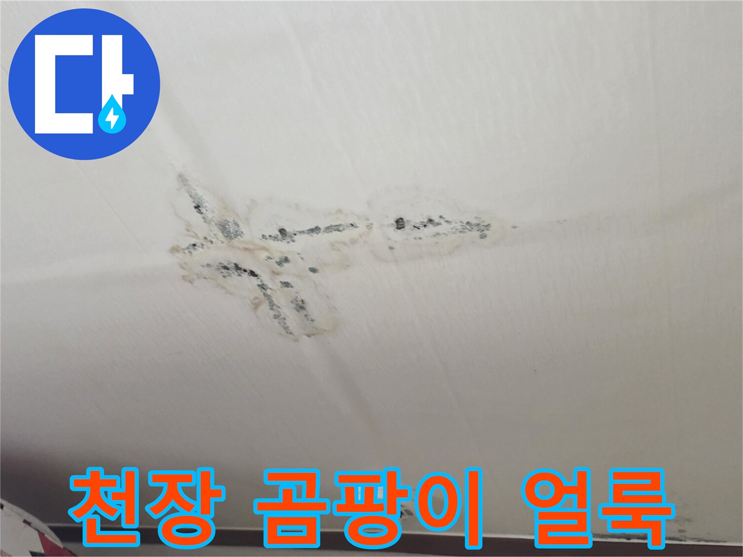 분당 구미동 원룸-습기로 오염된 천장 벽면 모습