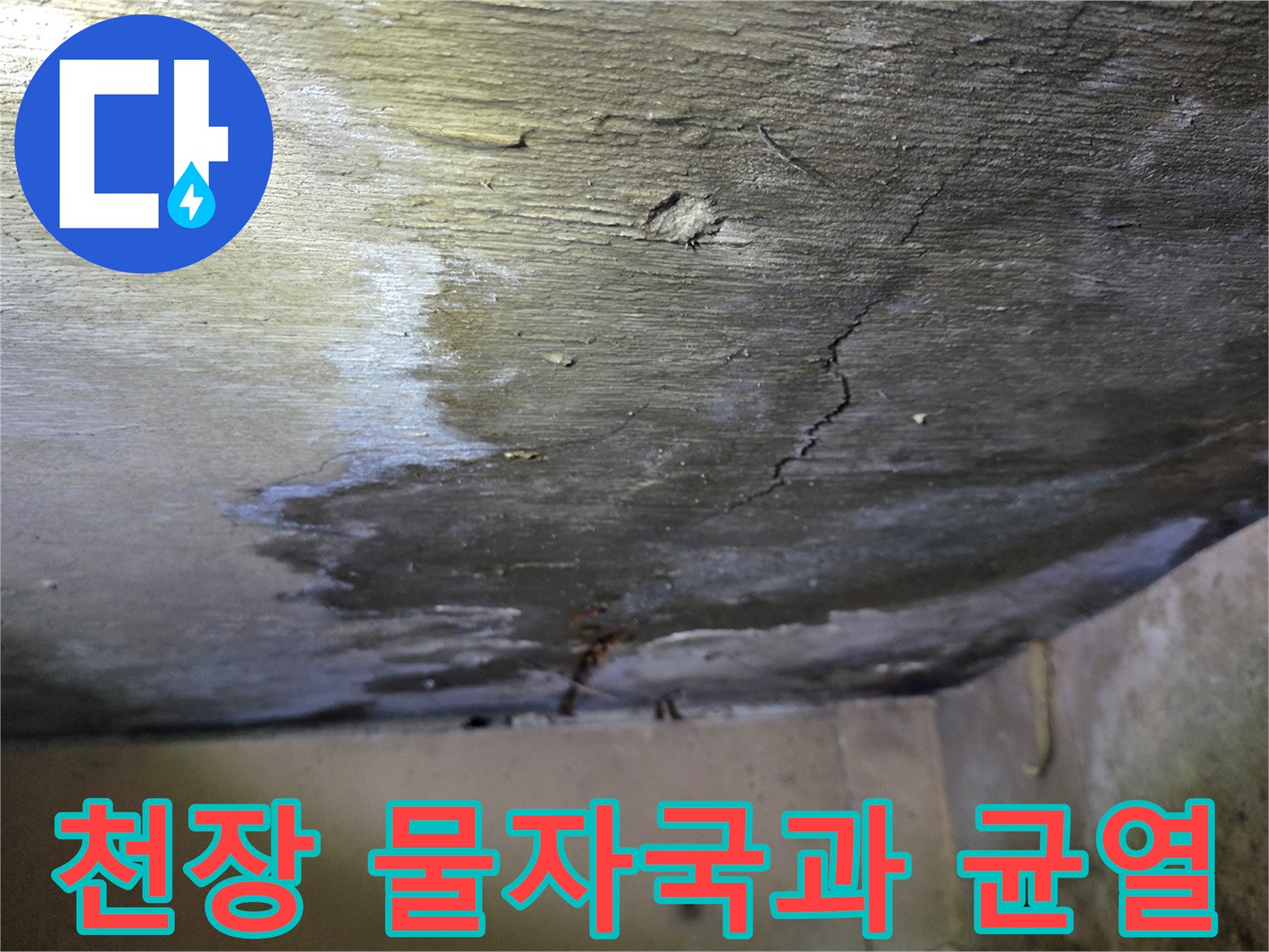 분당 구미동 현장의 - 천장 내부 습기 및 균elsk 자국 사진