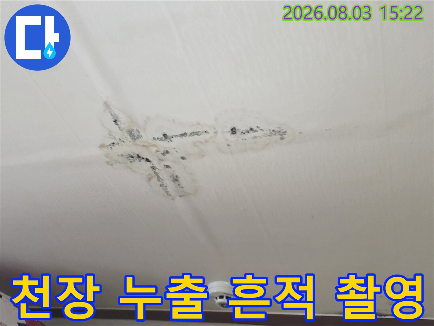 상층부 배관 문제로 발생한 천장의 얼룩 및 오염 부위