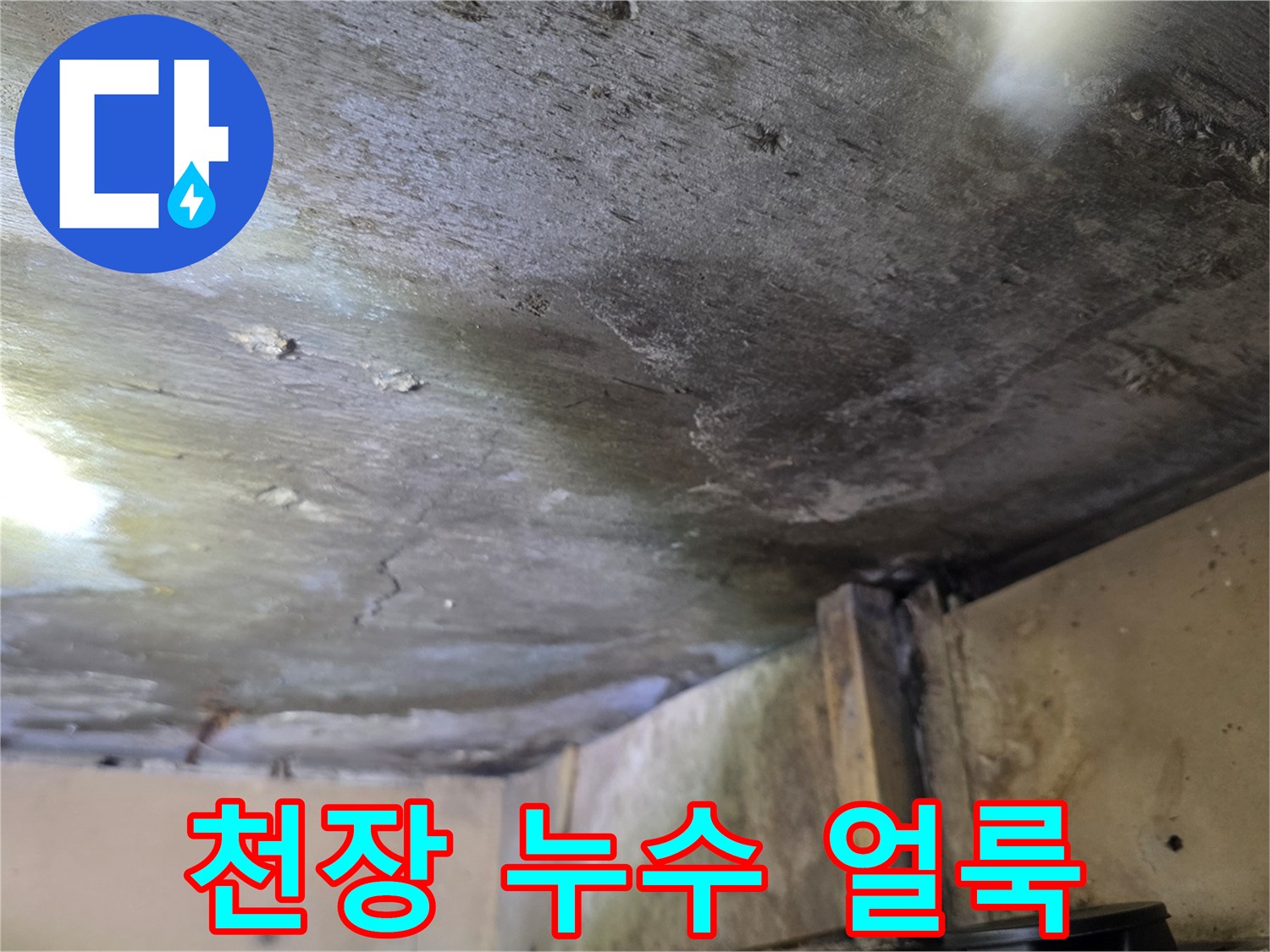 천장 마감재에 나타난 누수 및 침수 흔적