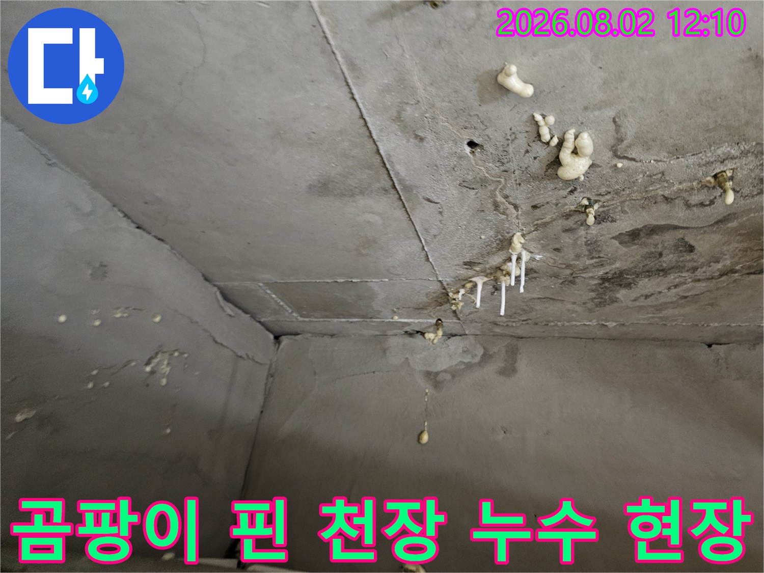 배관 주변의 오염과 곰팡이가 진행된 화장실 천장 내부 모습