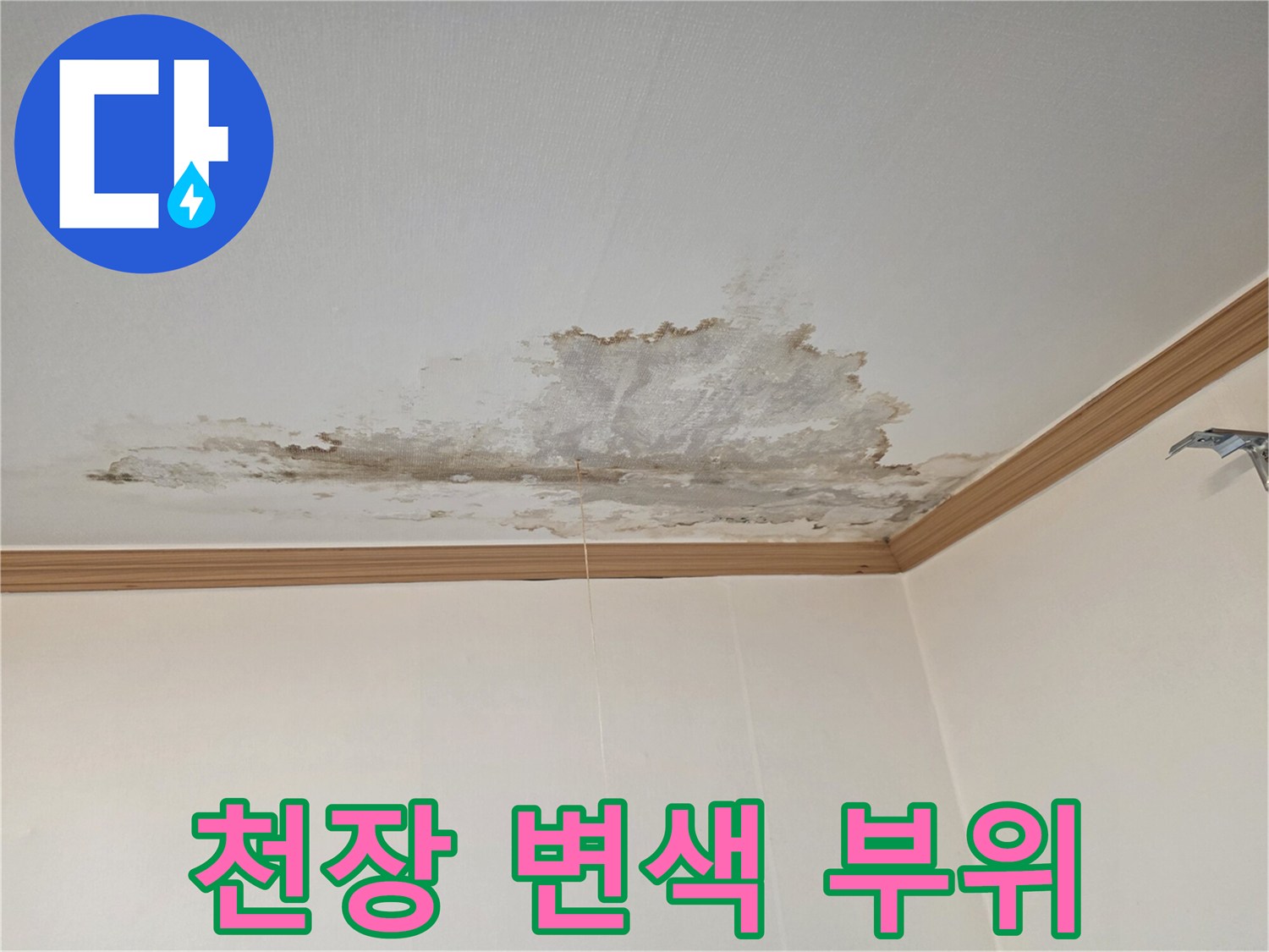 넓게-퍼진-천장-누수-변색-영역