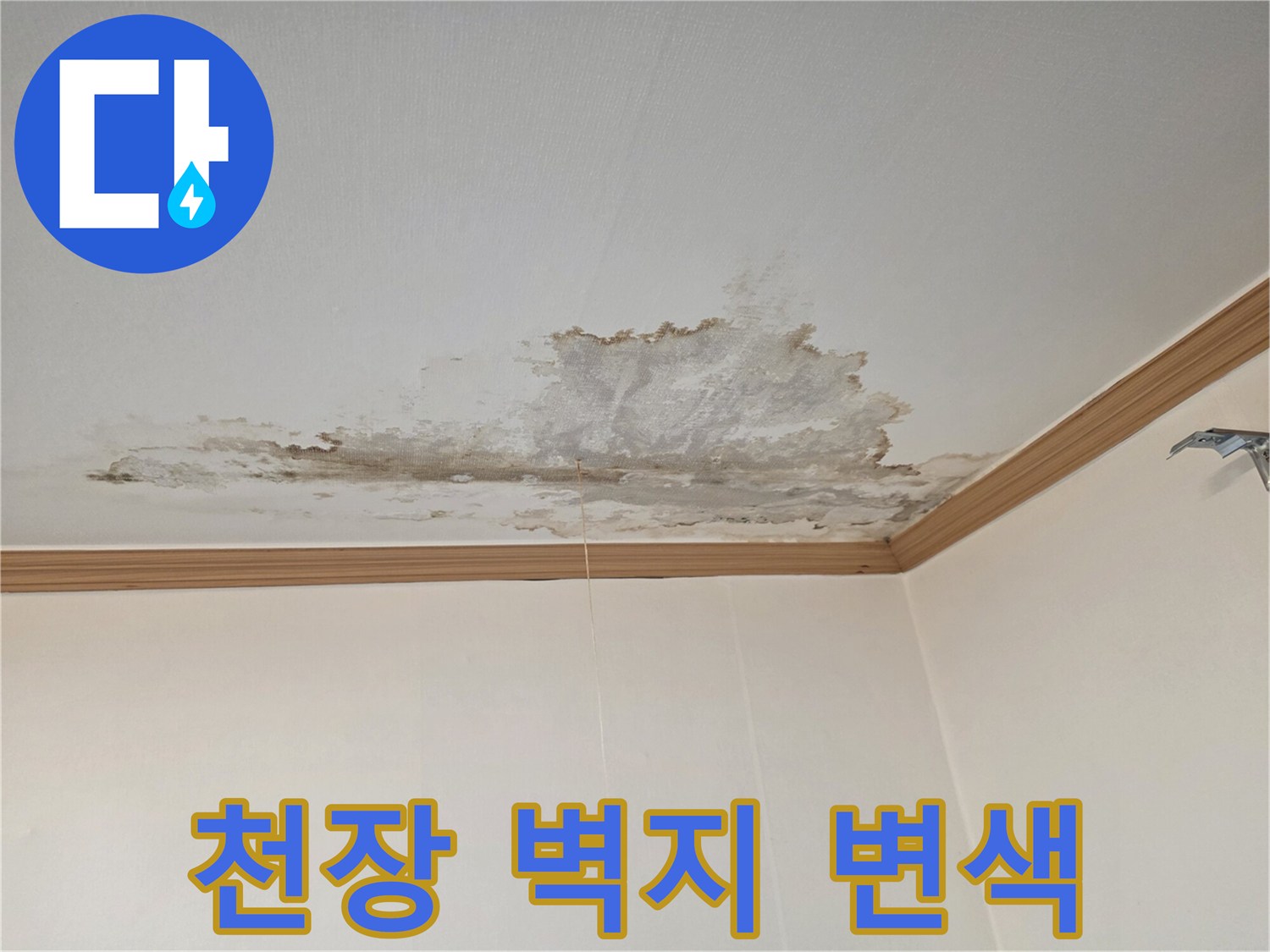 천장-벽지-가-물에-젖어-변색된-모습