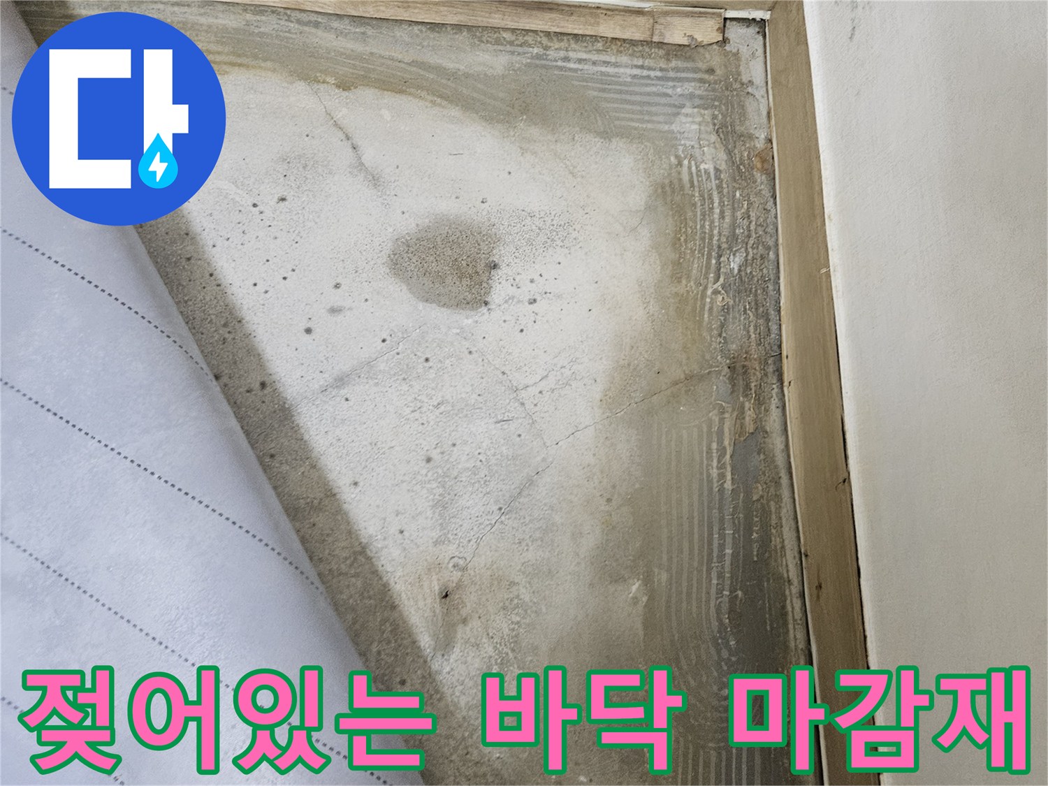 누수 발생으로 인해 습기가 침투한 현관 바닥면