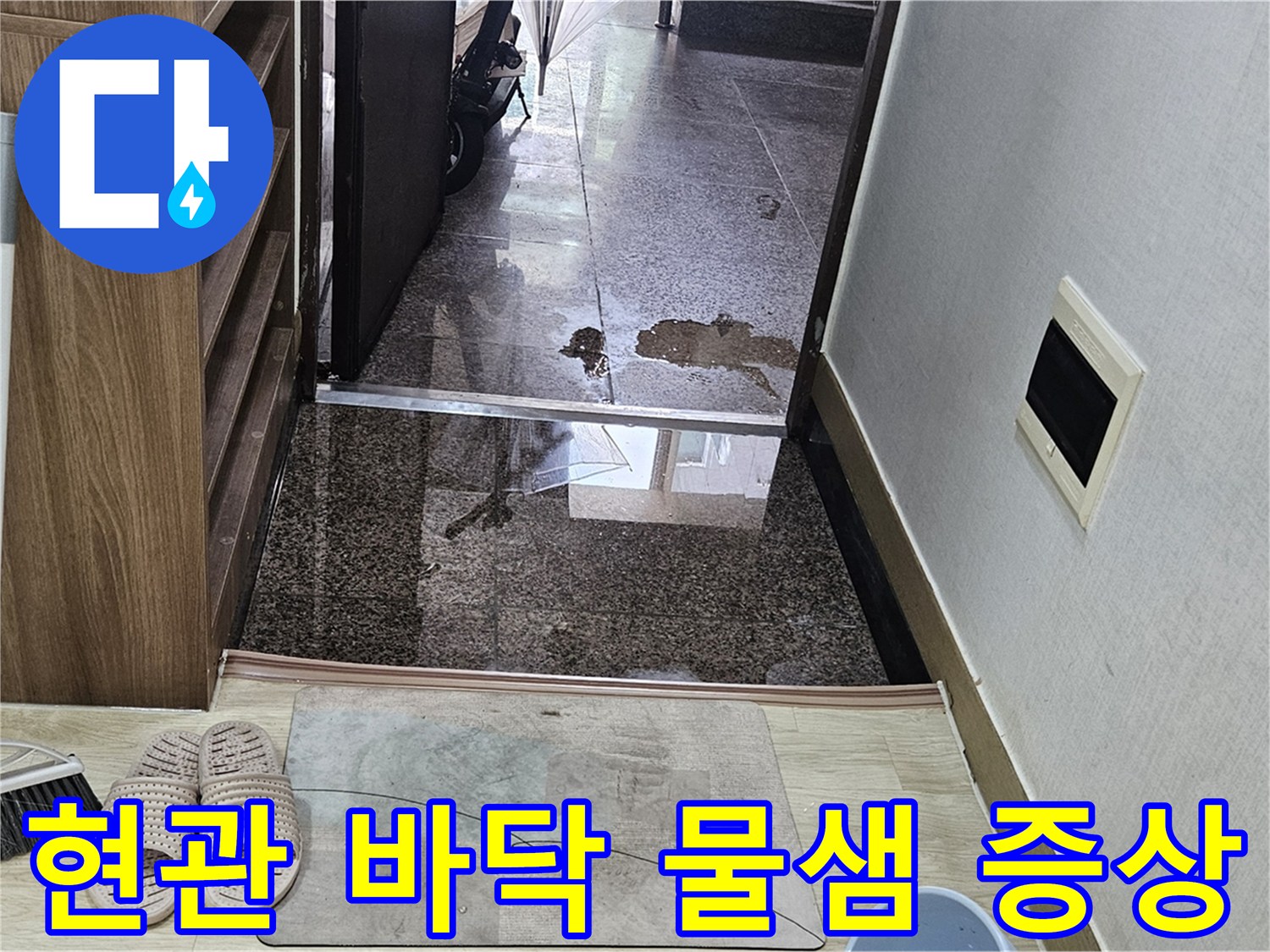 진안동 현관-젖은 타일과 습기 침투 흔적