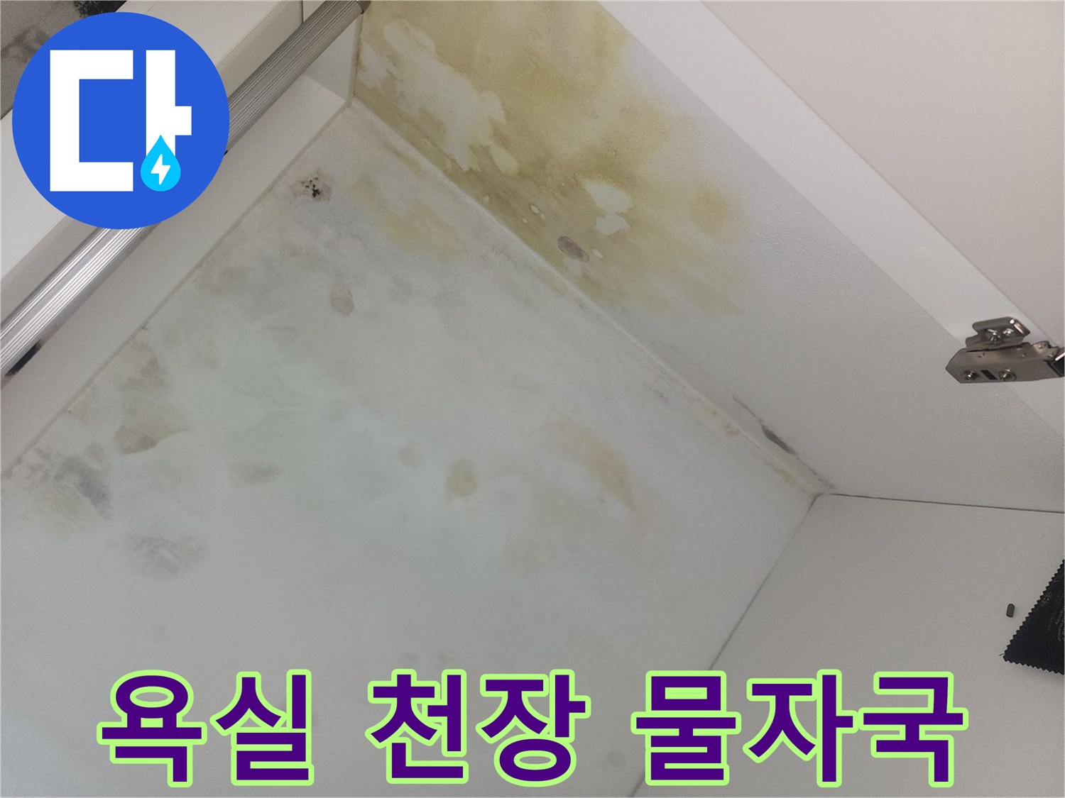 습기로 인해 변색되고 곰팡이가 피어오른 욕실 천장