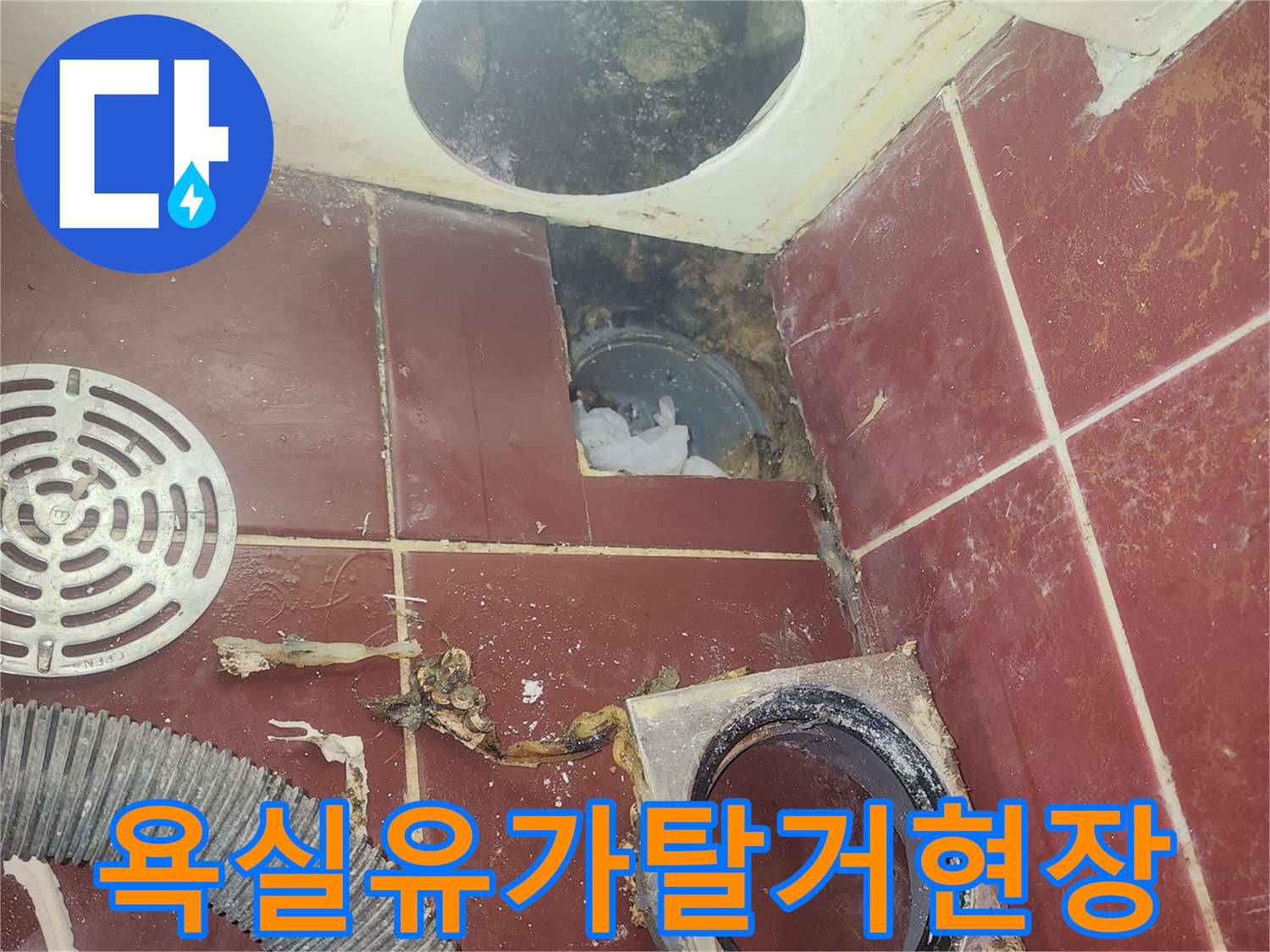양천구-욕실-배수구-유가-탈거-및-배관-상태-확인