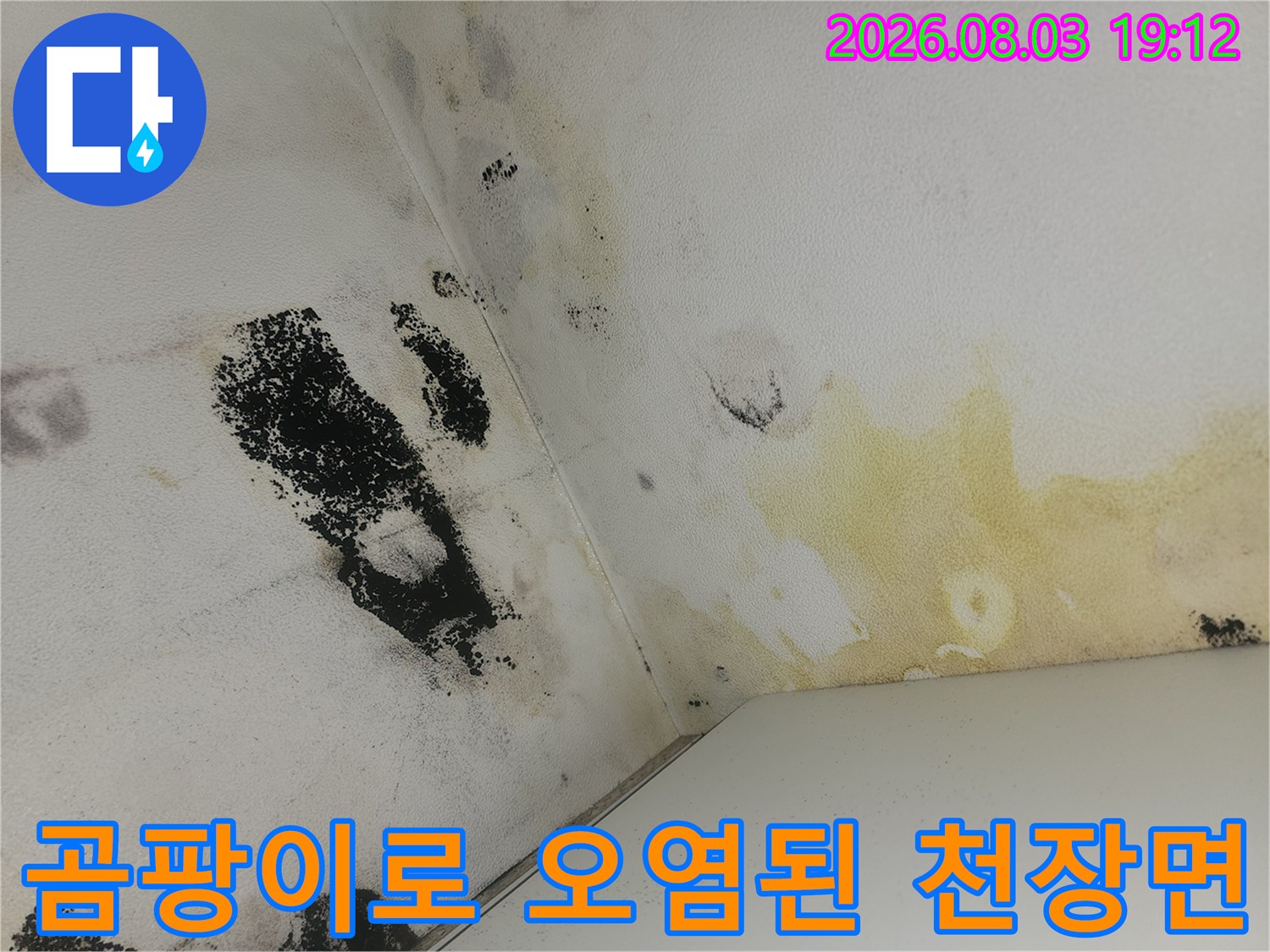 오랜 기간 누수가 지속되어 발생한 천장 곰팡이와 얼룩
