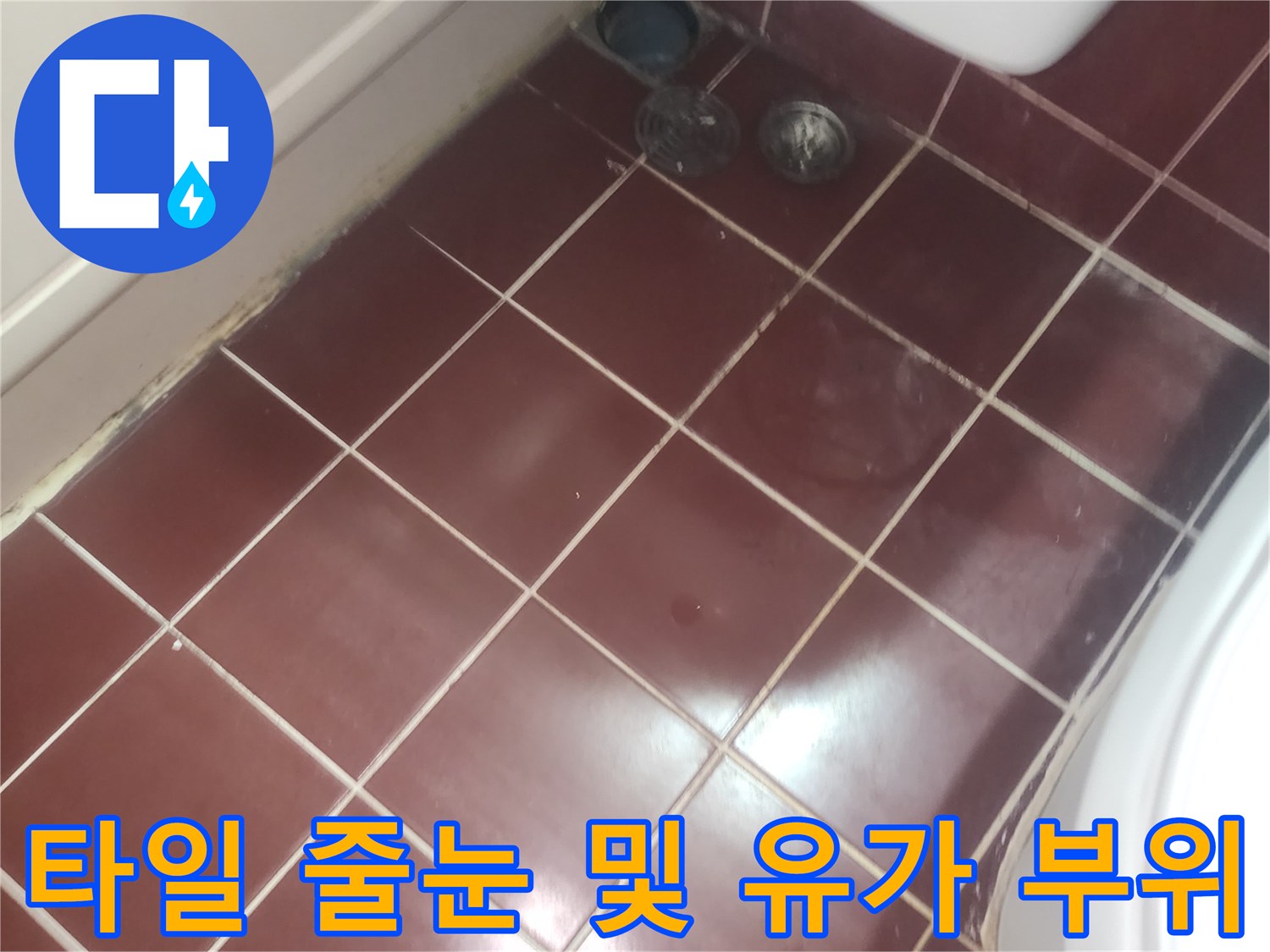 욕실 배수구-주변 타일 틈새와 변기 하단부 모습