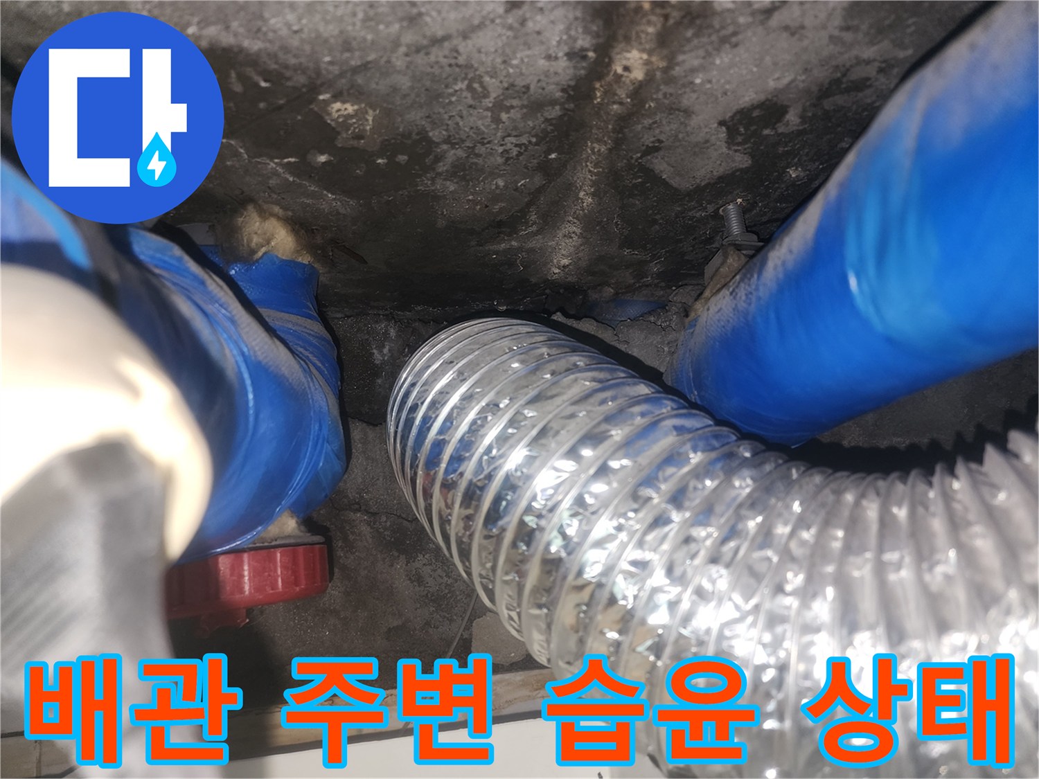 파란 보온재와 은색 호스 사이의 물기 확인
