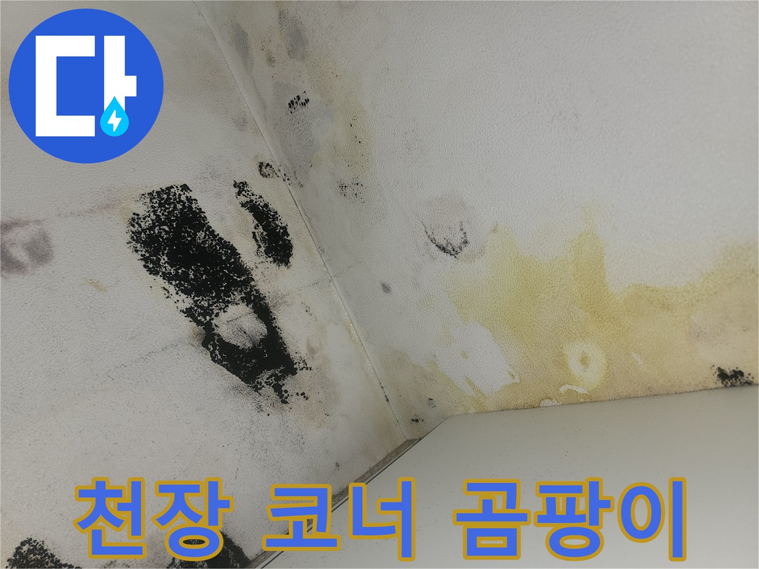 화장실 벽면 모서리에 발생한 검은색 곰팡이와 얼룩