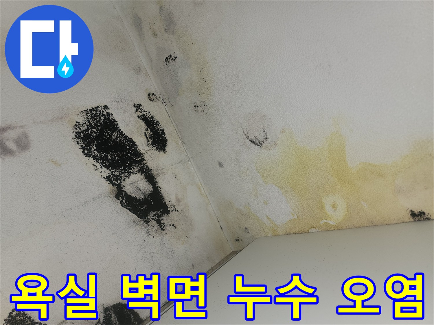 화장실 벽면 상단-습기로 인한 변색과 곰팡이 발생 부위