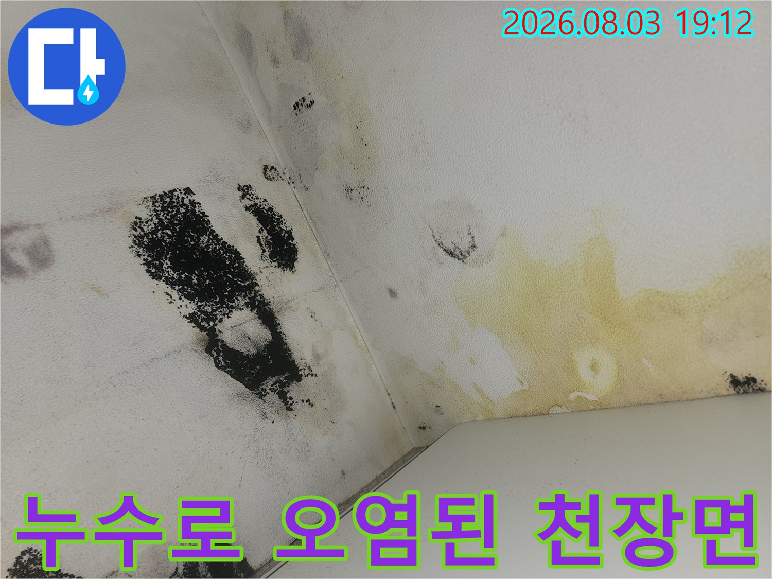 화장실 벽면과 천장의 경계에 발생한 곰팡이와 수분 얼룩