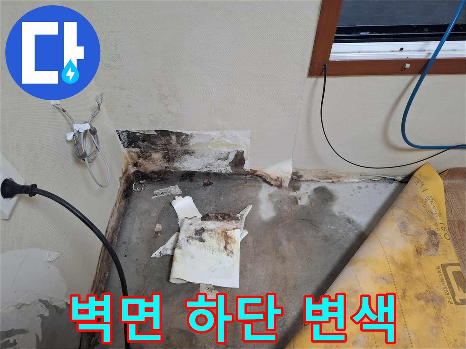 개봉동 누수현장-곰팡이와 습기로 오염된 벽체