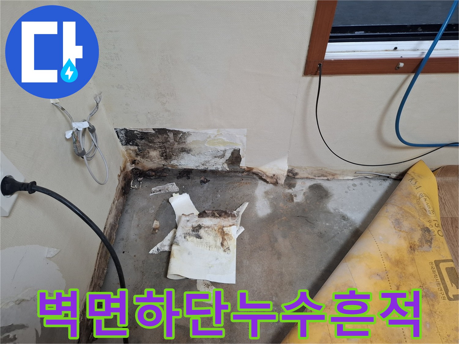 개봉동-벽면-하단-곰팡이와-물자국-상태