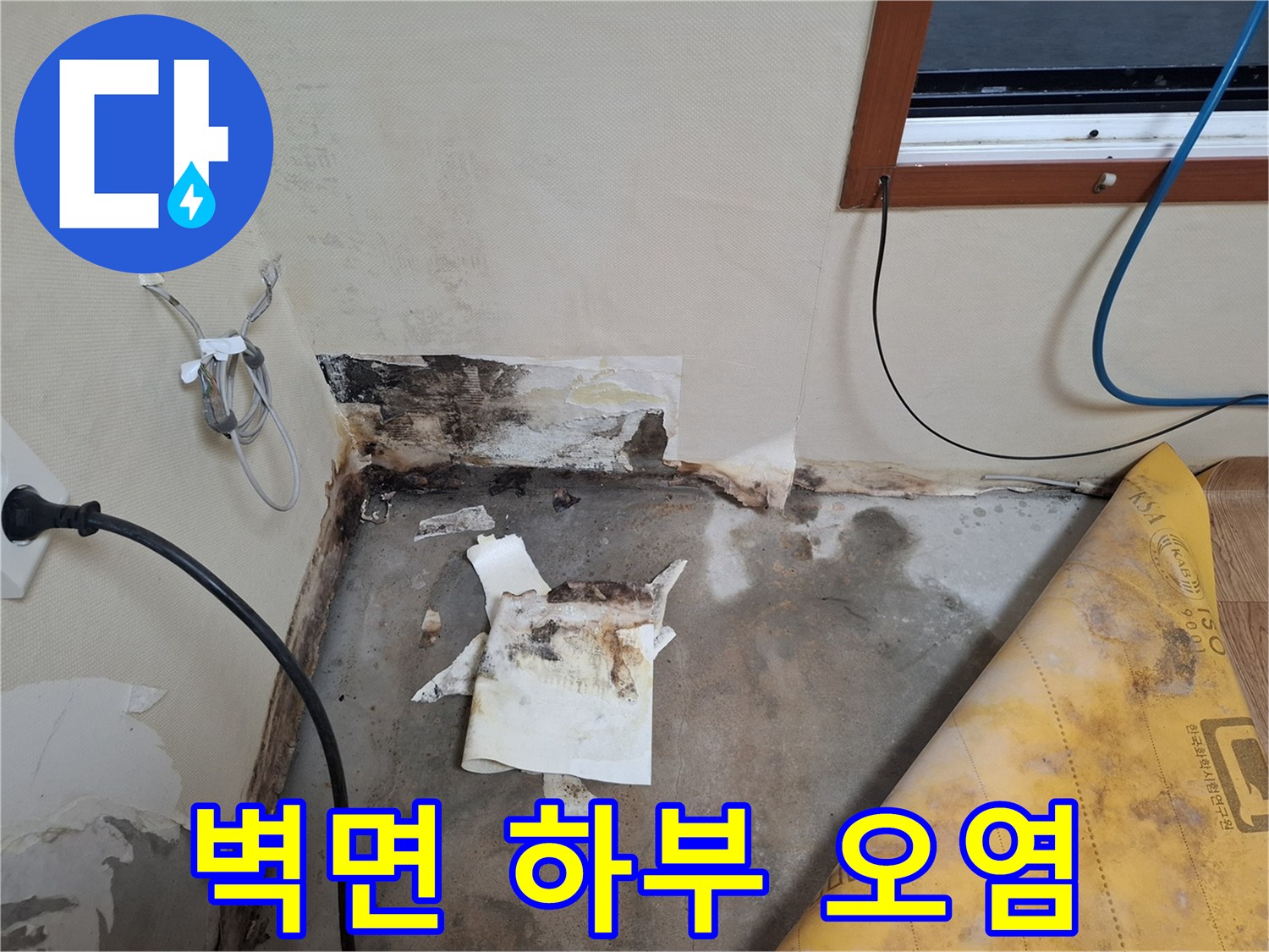 개봉동 현장-곰팡이와 습기로 변색된 벽지 부위