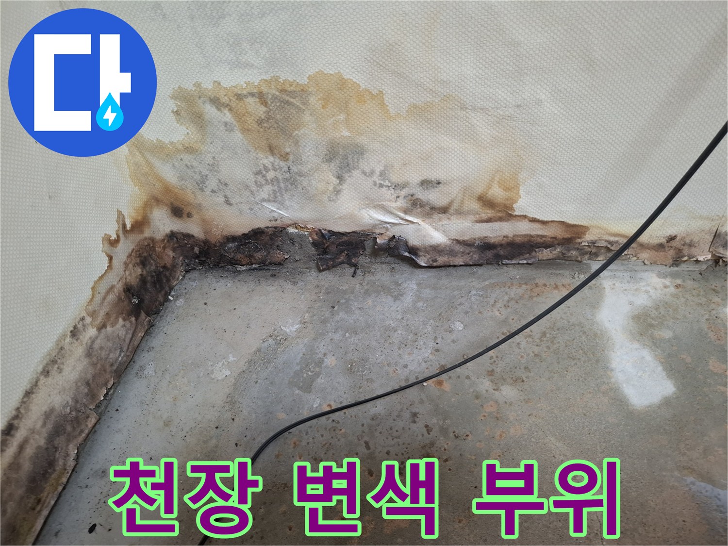 벽면 하단부의-심한 물번짐과 오염 상태