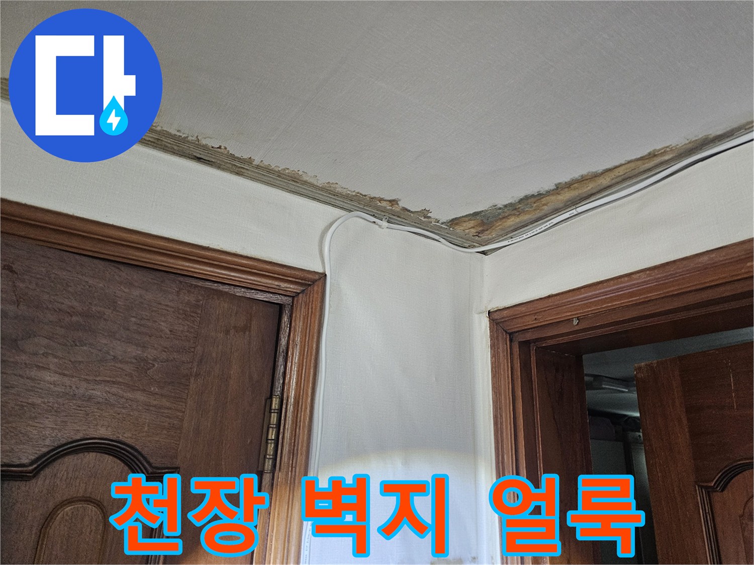 현관 천장 모서리의 물샘으로 인한 벽지 변색