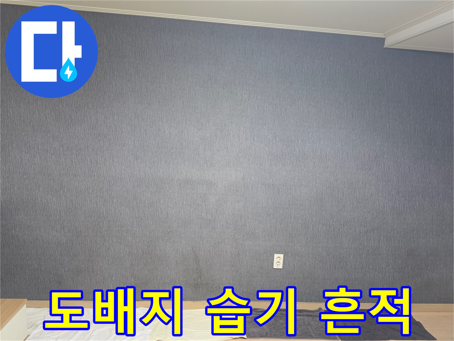신장동 현장 내부-벽면 하단부의 변색된 도배지