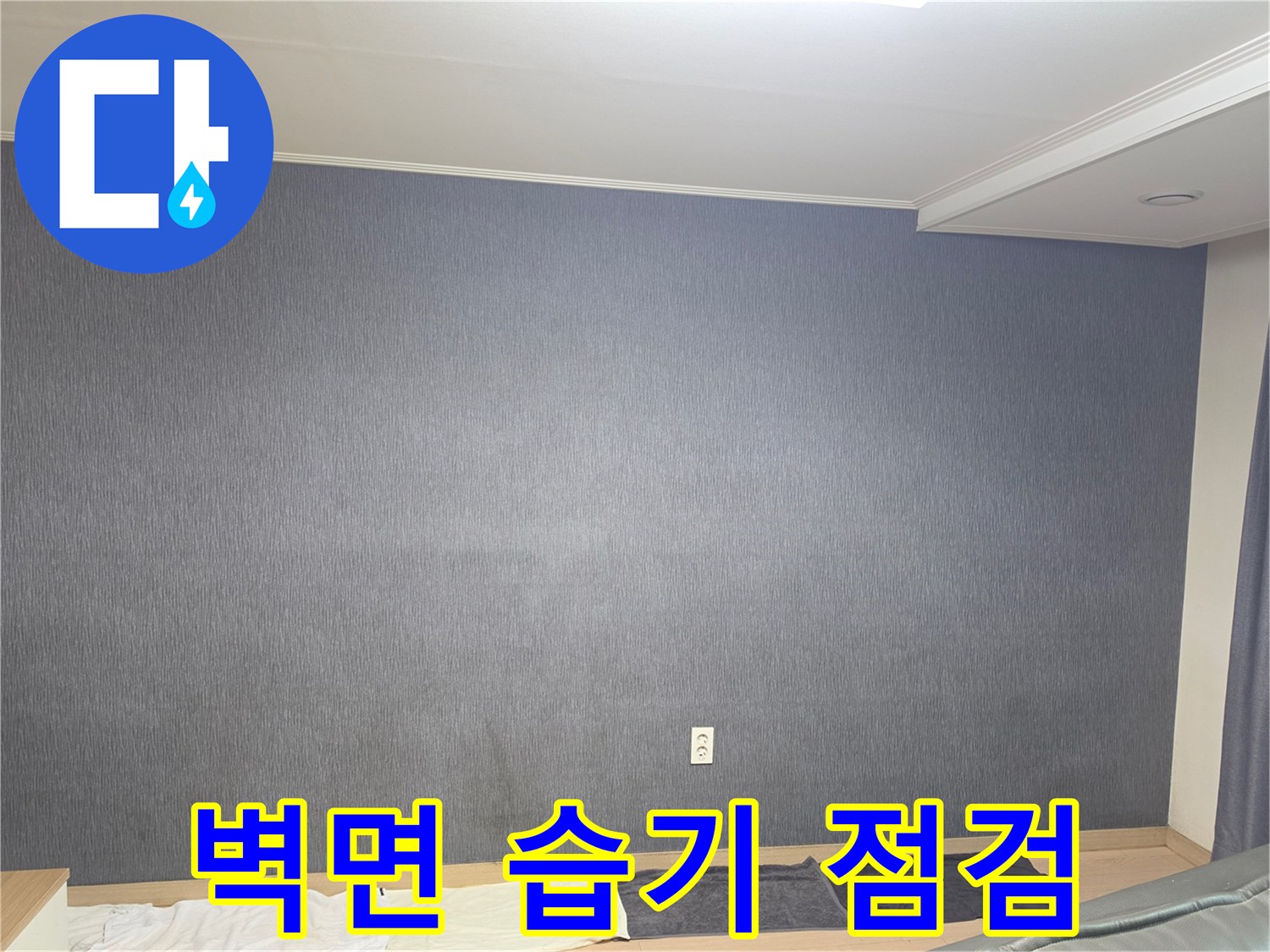 푸른색 벽면 하단부와 콘센트 주변을 촬영한 사진