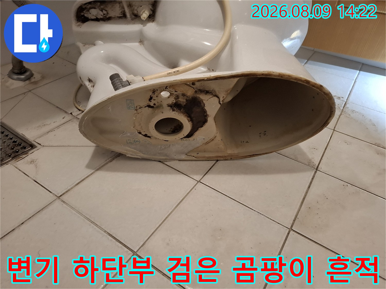 변기 탈거 후 배관 주변에 발생한 검은색 오염과 곰팡이