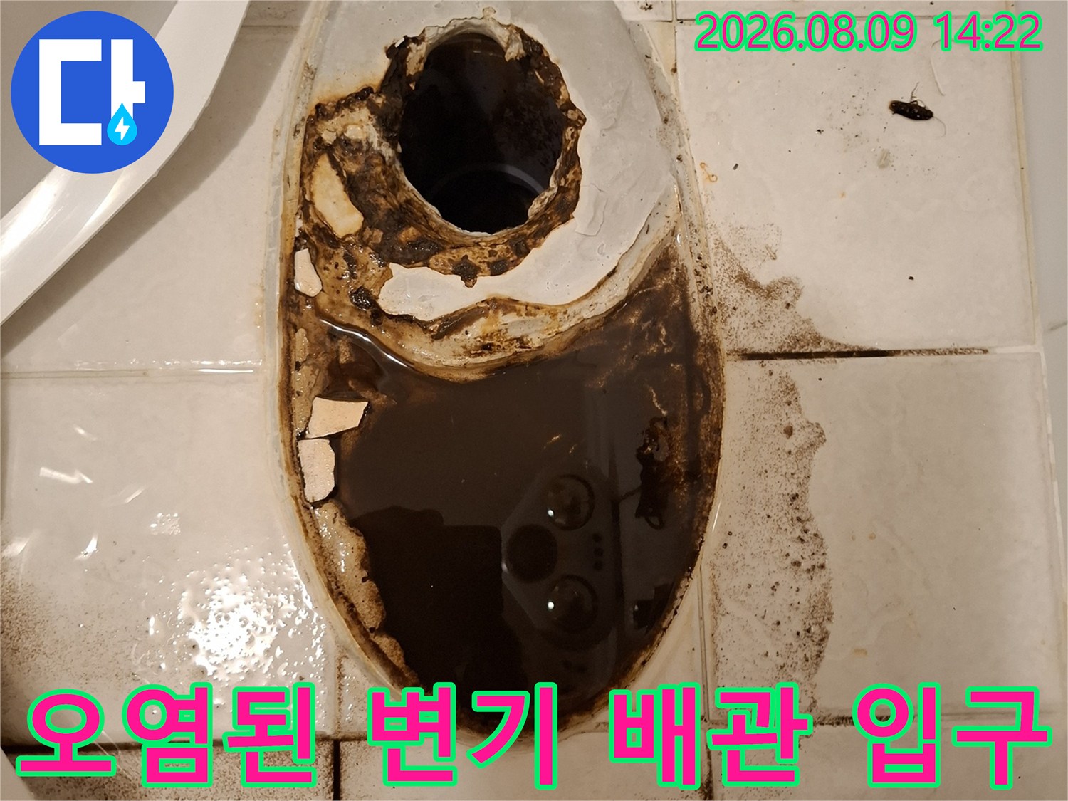 변기 하단 배관 주위의 심한 오염과 이물질 상태