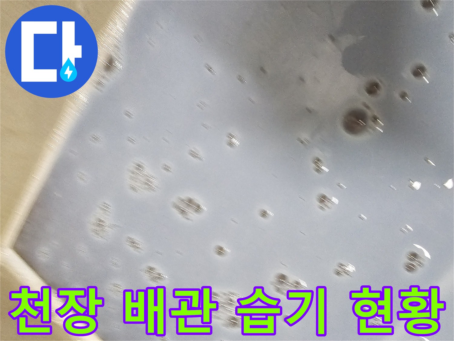 젖어 있는 천장 슬라브 면-누수로 인한 물자국과 습기 확인