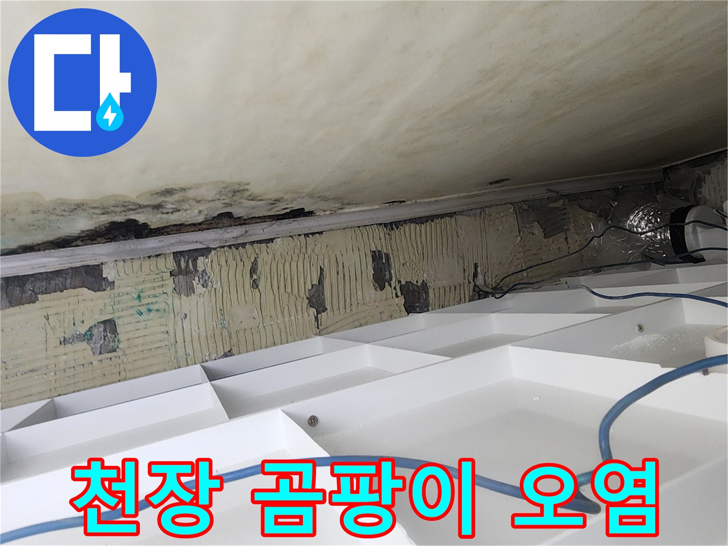 누수로 인해 습기가 차고 곰팡이가 발생한 천장 구조물