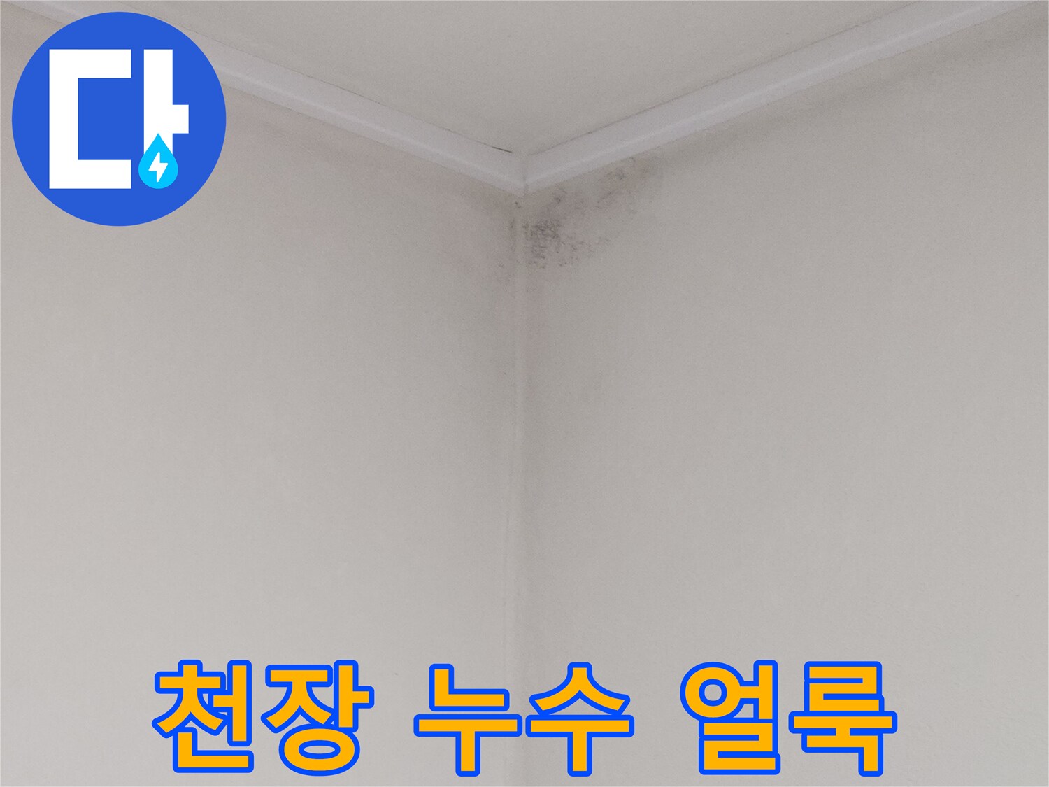 물샘 현상으로 인해 곰팡이가 번진 천장 모서리