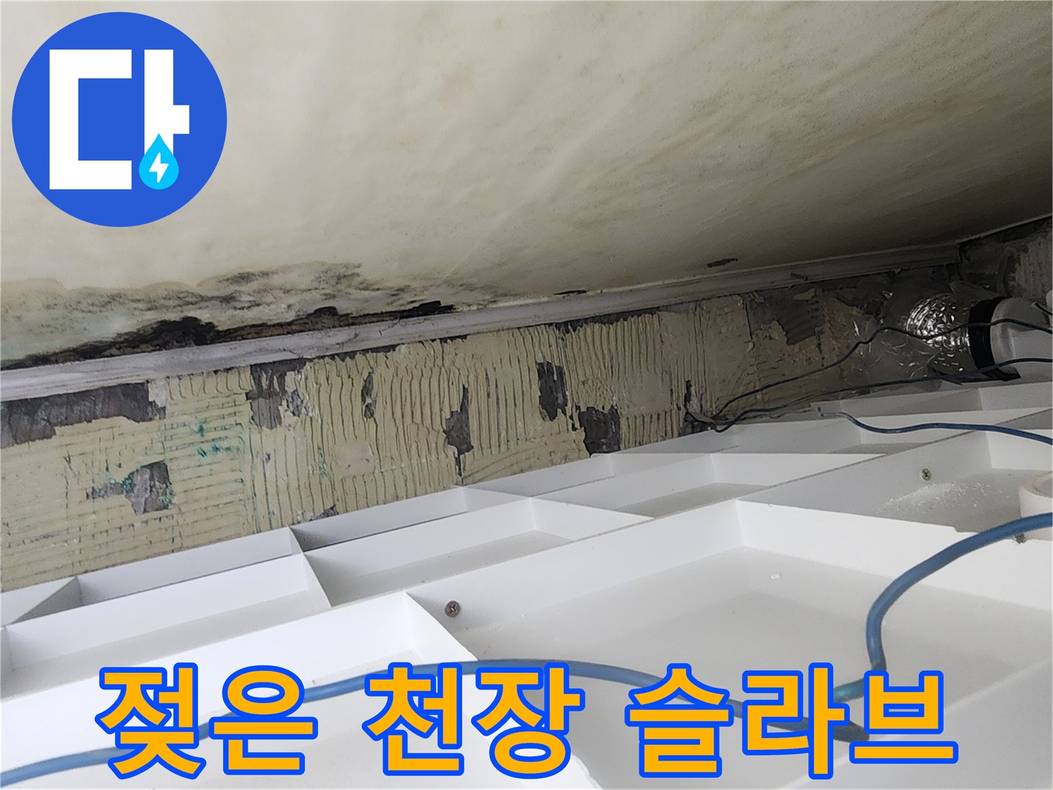 물샘 흔적이 남은-천장 콘크리트 면의 곰팡이 상태