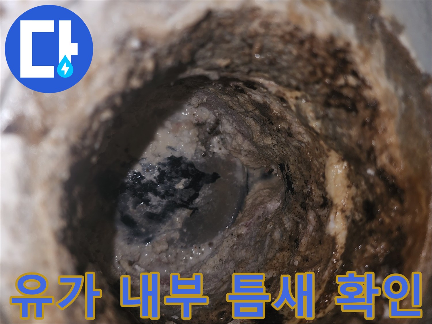 배수구-내부의-벌어진-틈새와-습기 흔적