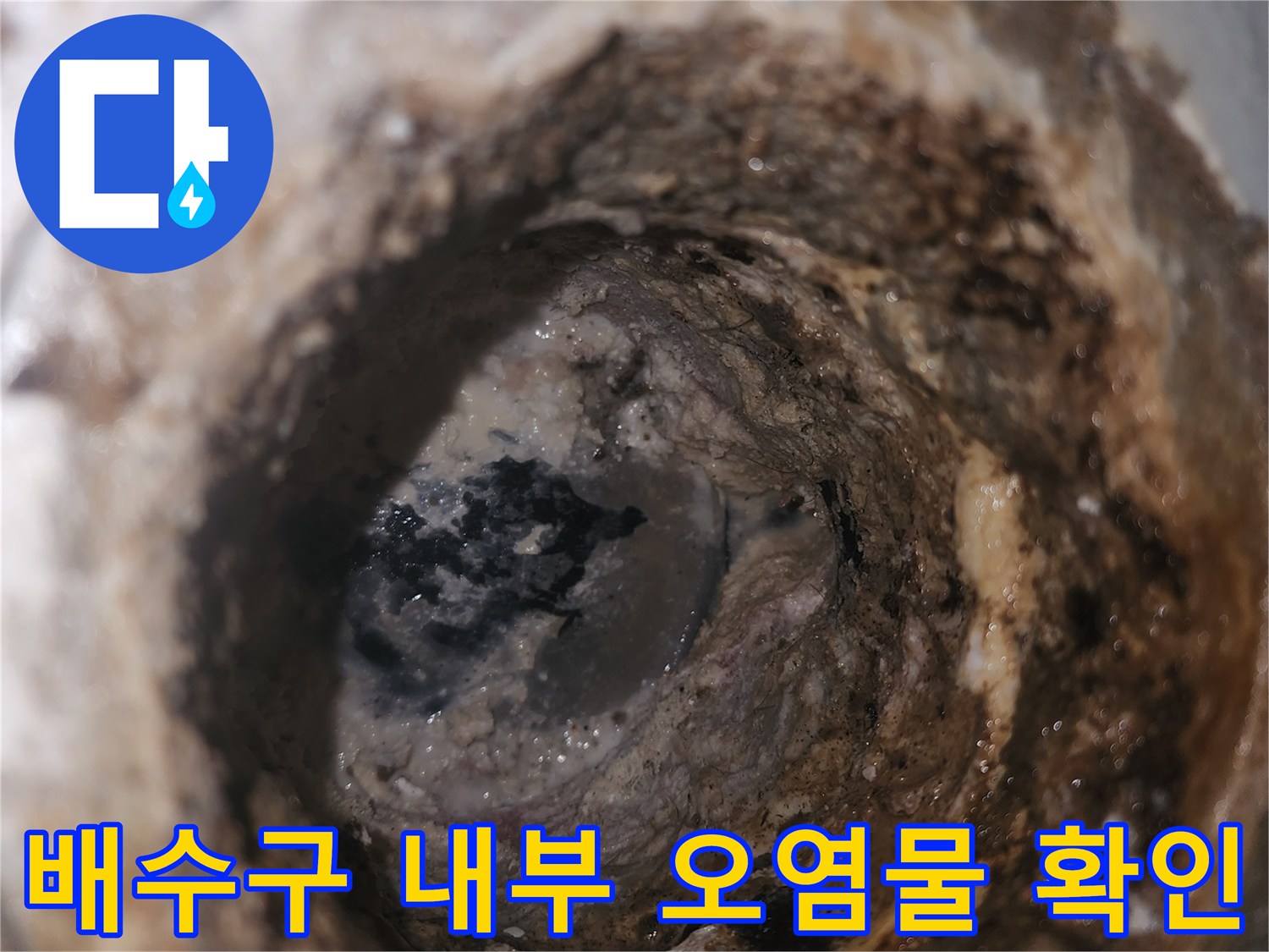 배수구 주변의 찌꺼기와 습기가 가득한 모습입니다.
